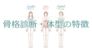 骨格診断・体型の特徴